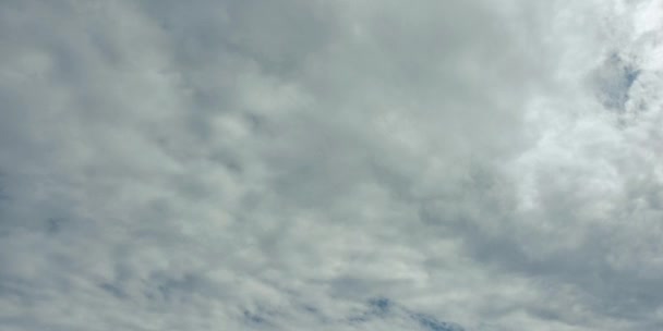 Timelapse βίντεο από σύννεφα κατά τη διάρκεια της ηλιόλουστης ημέρας πάνω από μπλε ουρανό — Αρχείο Βίντεο