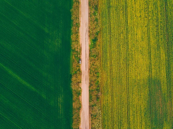 緑と黄色の菜の花畑と道路や小麦の空中写真 — ストック写真