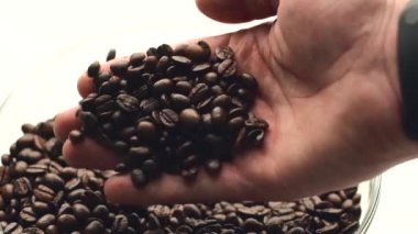 Erkek eli taze kavrulmuş kahve çekirdeği tutarken çekilen görüntüleri kapatın.