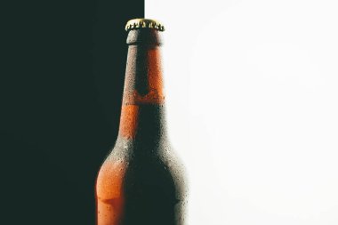 Close up photo of beer bottle over white and black background.