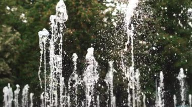 Şehir parkında yaz boyunca güzel bir çeşme görüntüsü