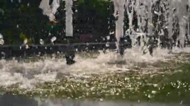 Yaz günlerinde çalışan çeşme görüntülerini kapat