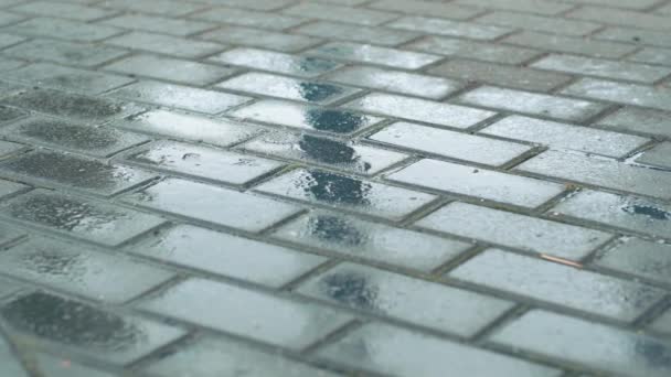 Primer plano de las imágenes de lluvia en el pavimento gris durante el verano — Vídeo de stock