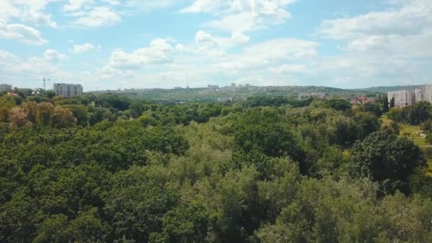 Yeşil park ve şehrin üzerinde uçan İHA 'nın hava görüntüleri. — Stok video