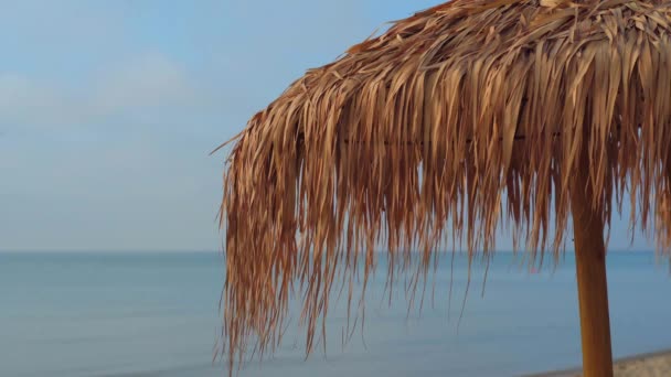 Images de parasol sur la plage en été, beau temps pour les vacances — Video