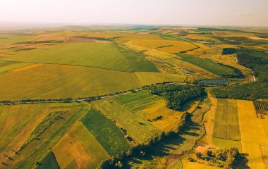 Bazı tarım ekinleri, buğdaylar ve ayçiçekleri ile güzel manzaranın havadan çekilmiş fotoğrafı..