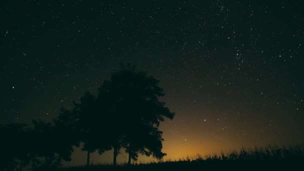 Timelapse Vídeo Chuveiro Perseid Astrofotografia — Vídeo de Stock