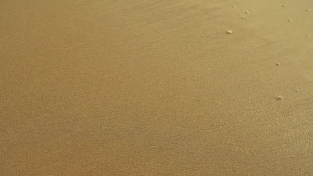 Gros plan d'une belle plage de sable doré pendant les vacances d'été — Video