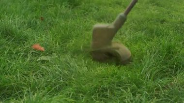 Çimleri ustalıkla biçen bir tel biçicinin dinamik çekimi çimlerin bakımının önemini göstermektedir.