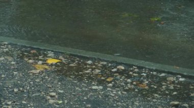 Sakin ve sakin yağmurlu bir sokak sahnesi, sergilenen güzel su birikintileri, canlı renkli yapraklar, ve dokulu bir kaldırım.