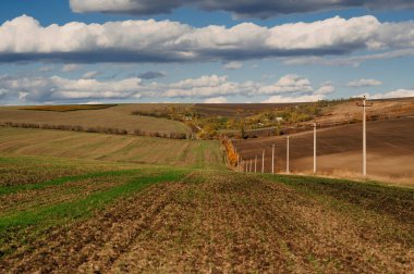 Kamu hizmetleri direkleriyle açık alanlar, kamu hizmetleri yapıları ve sürüklenen alanlarla çevrili geniş tarım arazileri