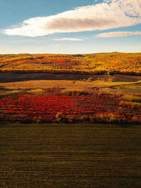 serene nature scene, peaceful aquatic space encircled by lively seasonal flora and reflective skies