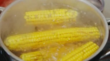 Tencerede kaynayan mısır, fırında kaynayan parlak sarı çekirdekler ocakta kaynayan tuzlu su buharı yakın çekim buhar, cızırtı, parlaklık