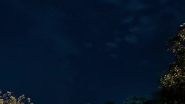 Huysuz Gece Bulutları Ay Işığının Üzerinde, Serin Mavi Tonlar, Hareketli Bulutların Arasında Yıldızlar, Dallardaki Hafif Rüzgar,