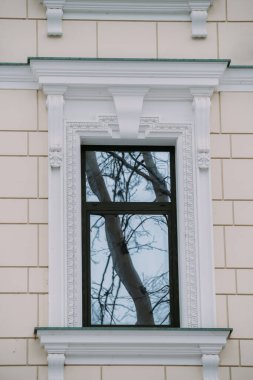 Bej Yüze Karşı Çıplak Ağaç Dalları Yansıtan Dekoratif Pencere Pervazı, Crisp Pervazları Cam Pane, Moody Bulutlu Işık Oluşturur