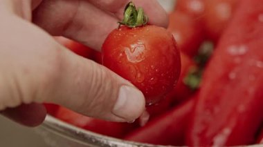 Kafkas el ele tutuşan vişne domatesi, Colander üzerinde su damlacıklarıyla nazikçe teftiş, başparmak ütüleme.