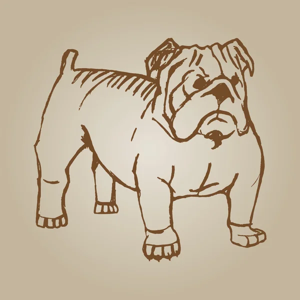 Doodle desenho de jovem bulldog no fundo branco — Vetor de Stock