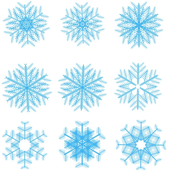 Winter snowflakes vector — Stock Vector