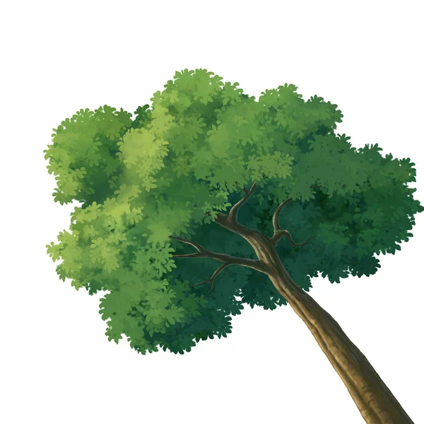 Illustration de l'arbre pour dessin animé — Photo