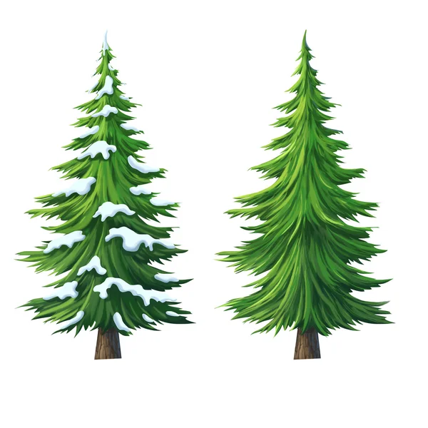 Illustration of pine — Stock Photo, Image