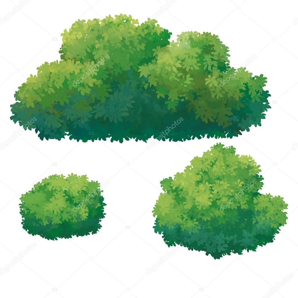 Illustration of Green Bush