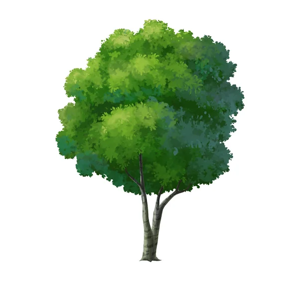 Träd för tecknad isolerade — Stockfoto