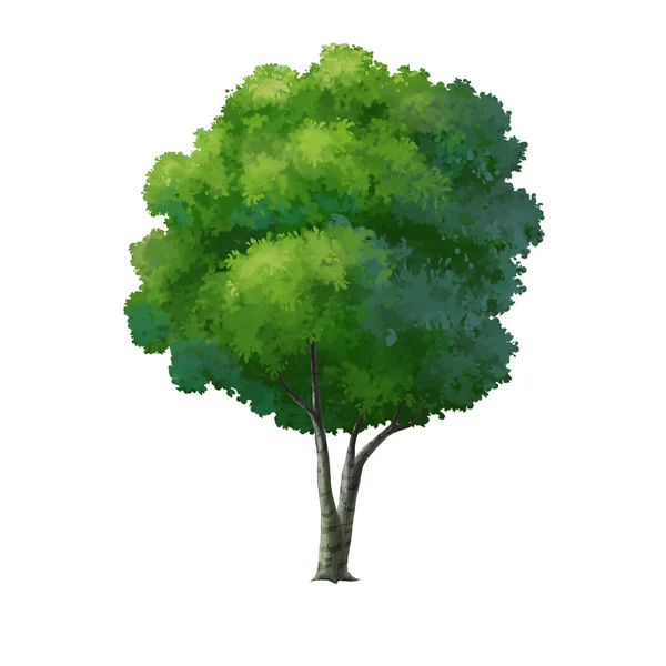 Arbre pour dessin animé isolé — Photo