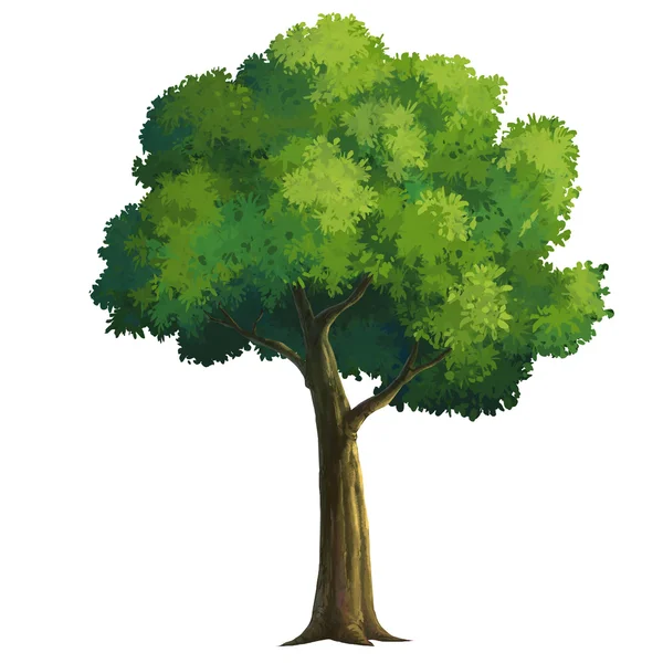 Strom pro Kreslené, samostatný — Stock fotografie