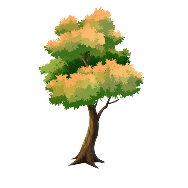 Árbol para dibujos animados aislado — Foto de Stock