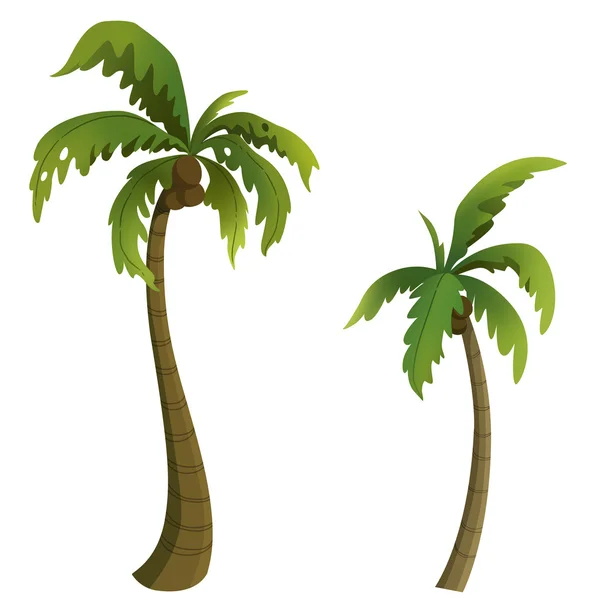 Palma kokosowa dla kreskówka na białym tle — Zdjęcie stockowe