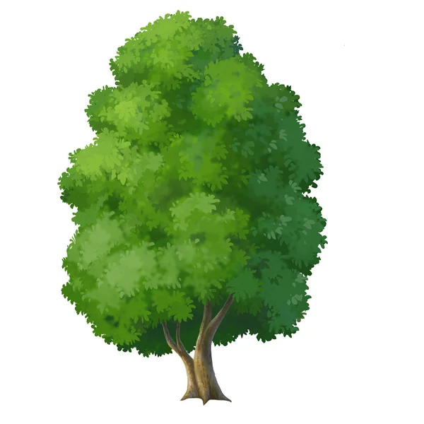 Дерево для изолированных мультфильмов — стоковое фото