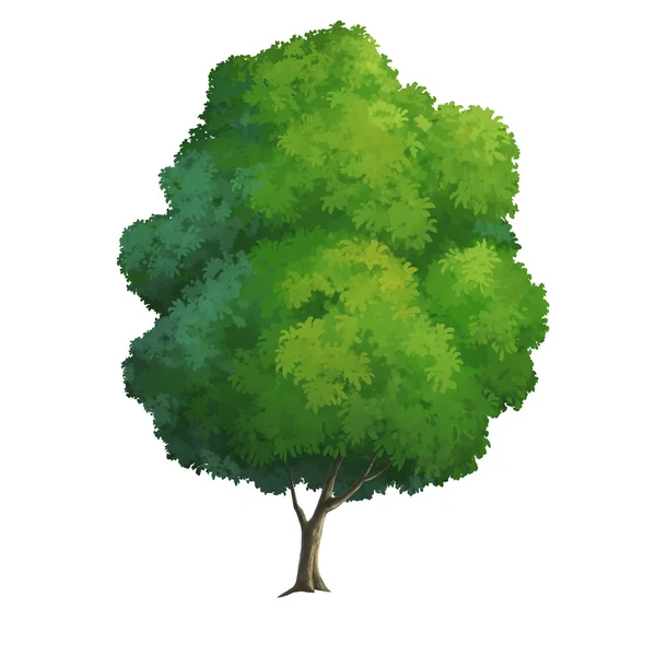 Árvore para desenhos animados isolados — Fotografia de Stock