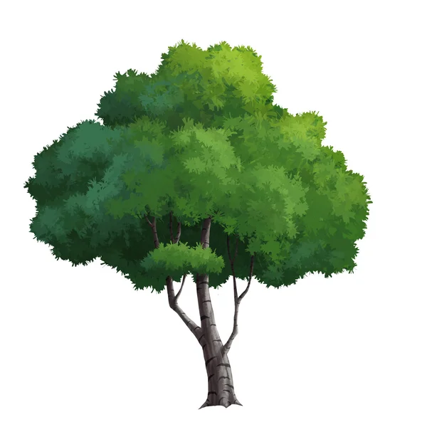 Träd för tecknad isolerade — Stockfoto