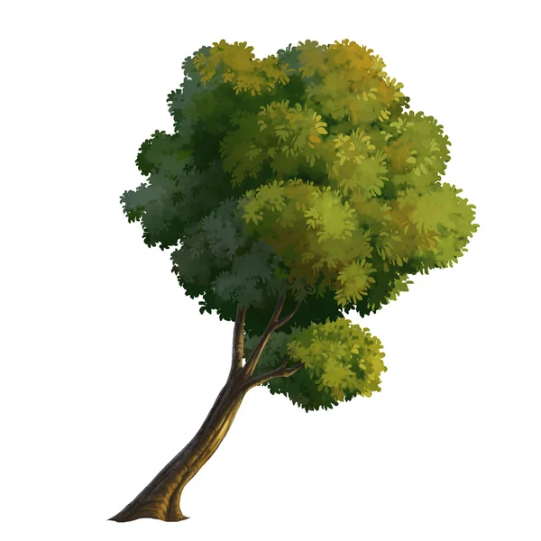 Árbol para dibujos animados aislado — Foto de Stock