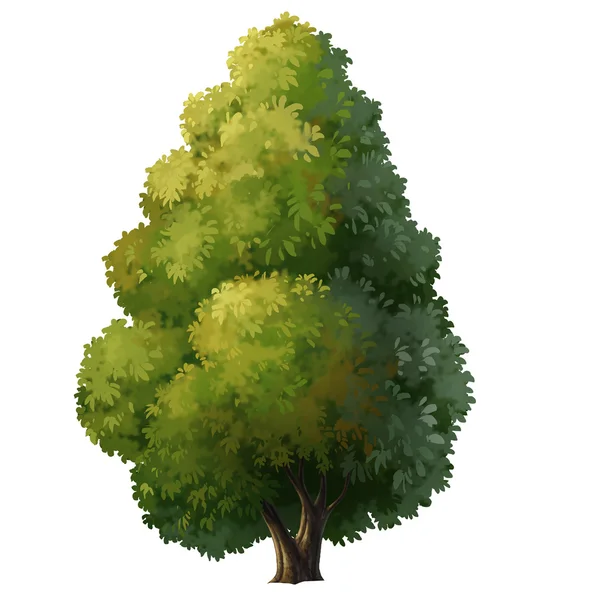 Дерево для мультфільму ізольоване — стокове фото