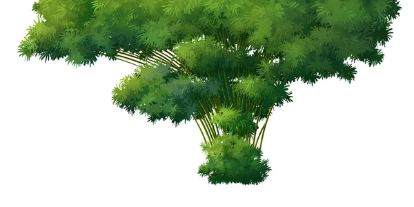 Bamboe op meer dan met achtergrond — Stockfoto