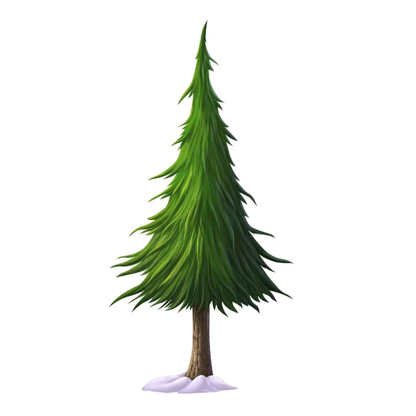 Pine  for cartoon isolated — Stock Photo, Image