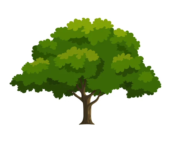 Ilustración de un árbol —  Fotos de Stock