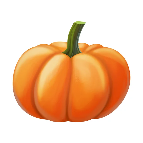 Pumpkin isolated on white background — Stock Photo, Image