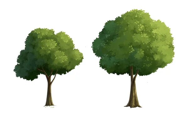 Ilustracja drzewa — Zdjęcie stockowe