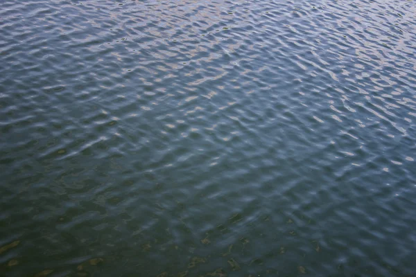 Die Welle auf dem Wasser — Stockfoto