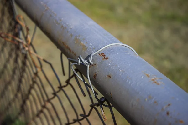 En barb och net — Stockfoto