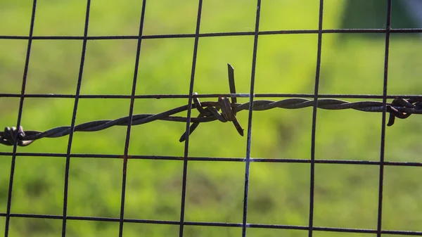 A barb and net — Stock Photo, Image