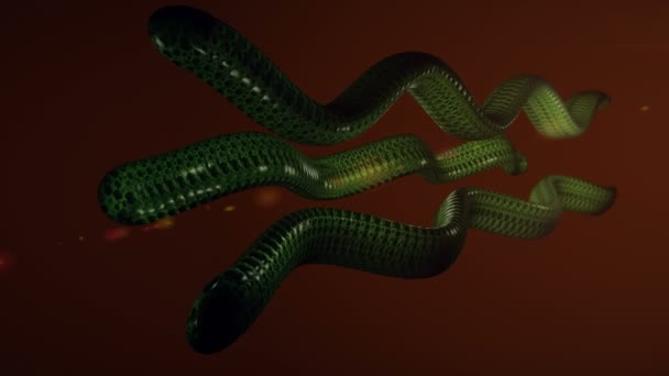 Sfondo serpente verde . — Video Stock