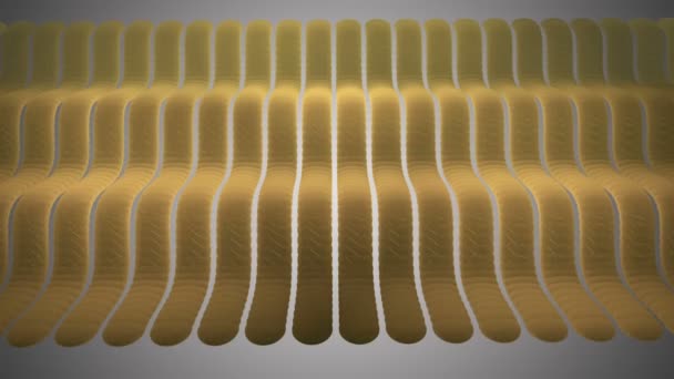 Wavy Yellow Stripes Sine. — Stock Video