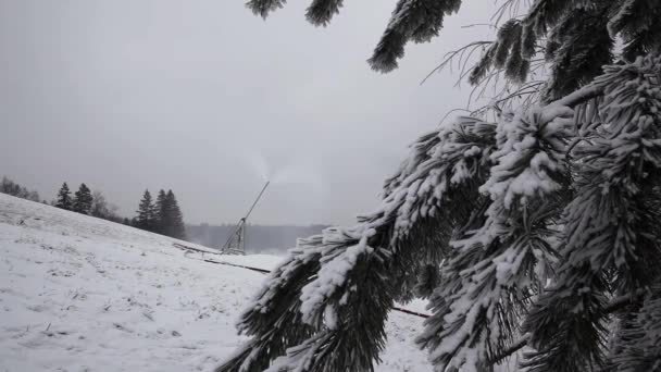 Система искусственного снегопада — стоковое видео