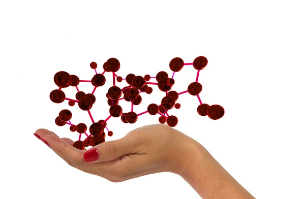 Woman hand holding molecule — Stock Photo, Image