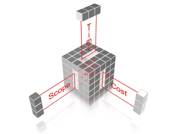 Projektmanagement-Würfel — Stockfoto