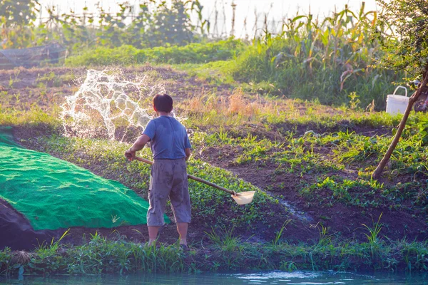 中国の農民は自分の畑に水をまく — ストック写真