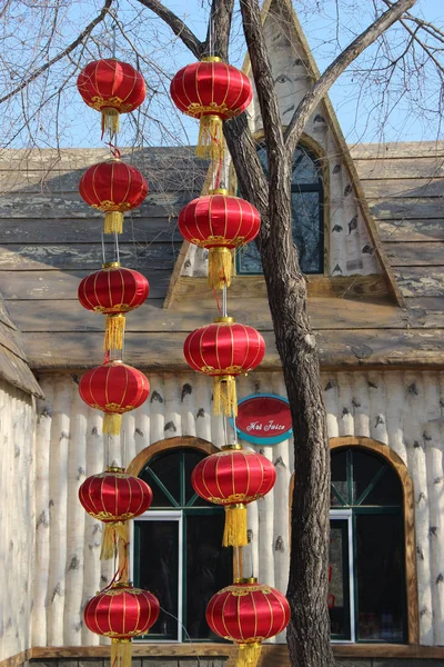 Linternas rojas chinas colgando de un árbol en invierno —  Fotos de Stock